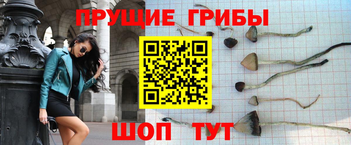 Семёнов  Галлюциногенные грибы Magic Shrooms  Вход с VPN  Галлюциногенные грибы Psilocybe 